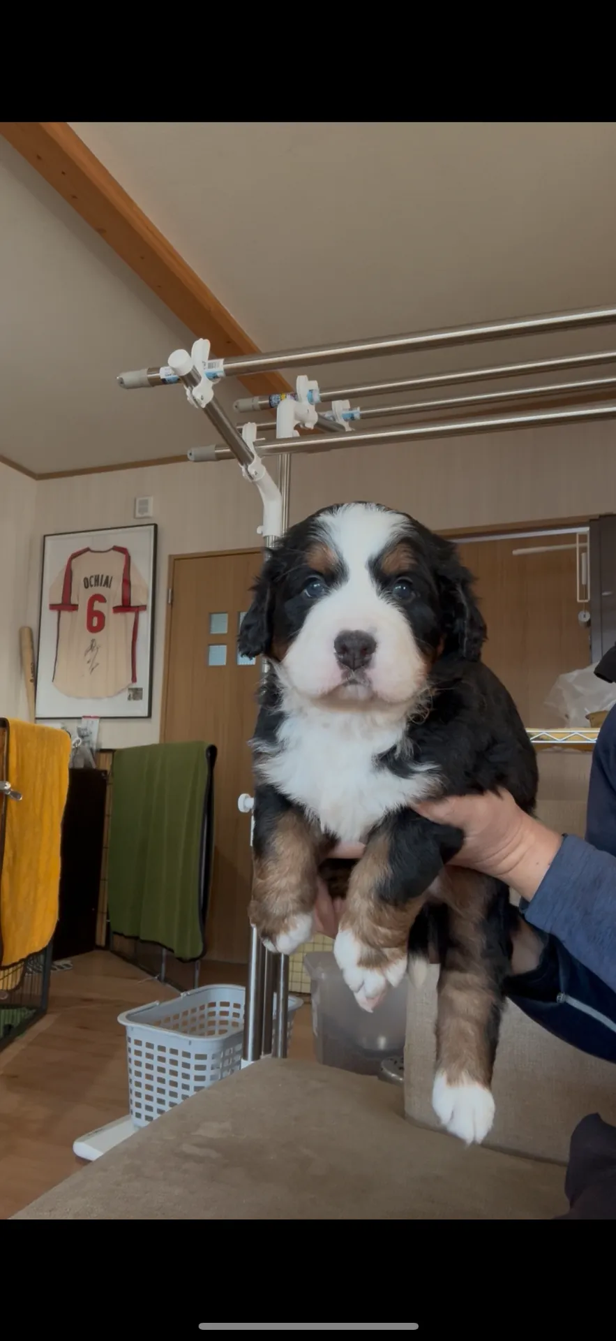 新しいご家族が決まりました。長崎県お客様ありがとうございました。