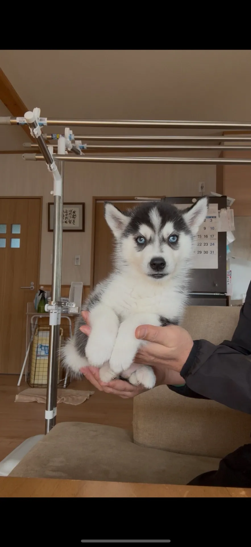 新しいご家族が決まりました。福岡県お客様ありがとうございました。
