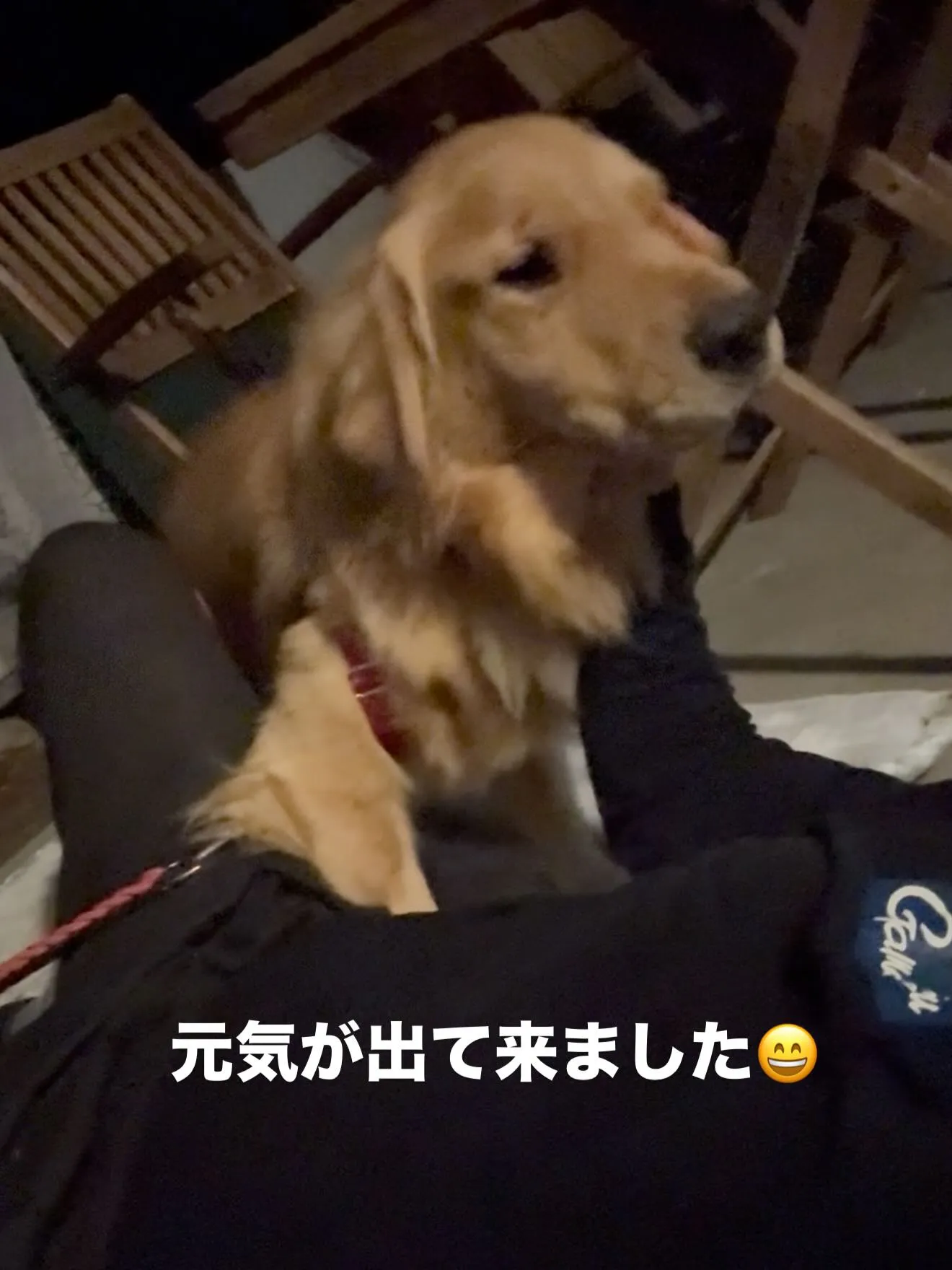初めは警戒していましたけど…