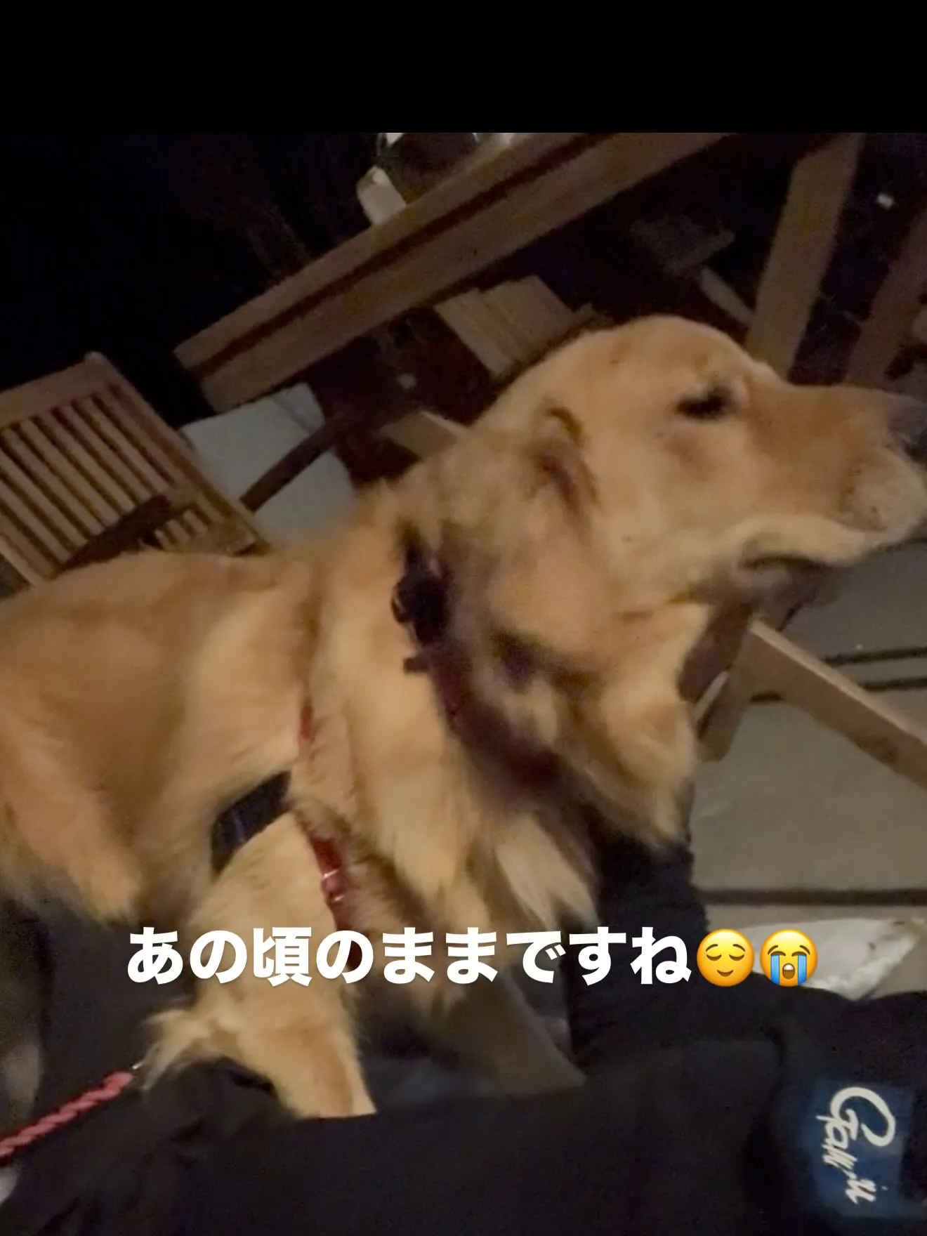 初めは警戒していましたけど…