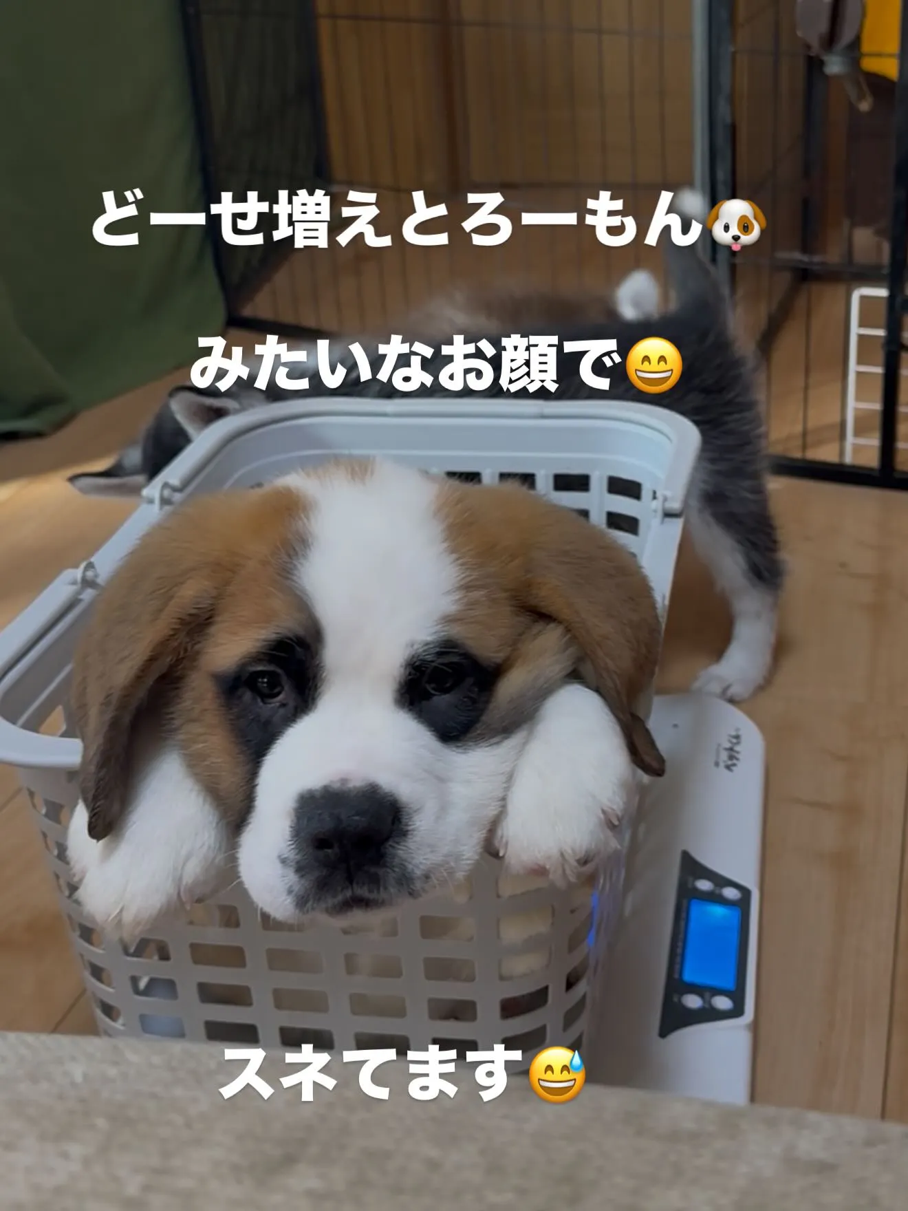 午前のひととき🏠