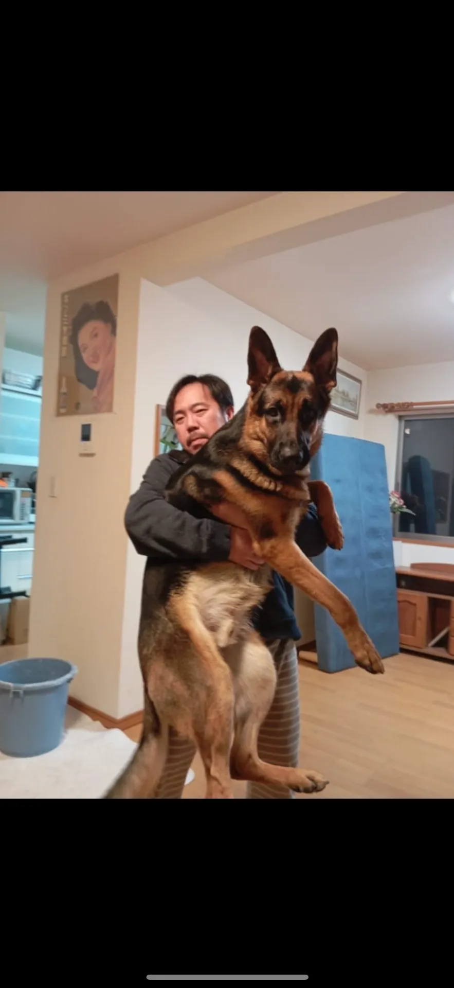 ジョン子🐶 横須賀のジョニー君