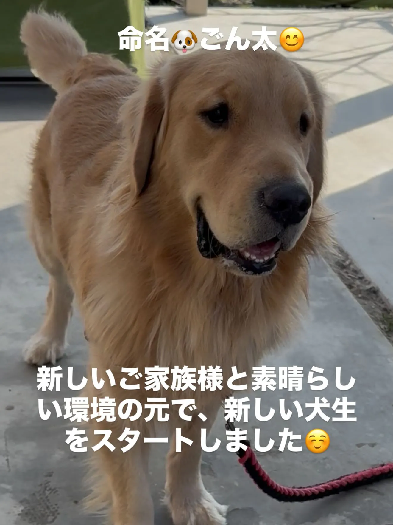 ご心配をおかけしました。