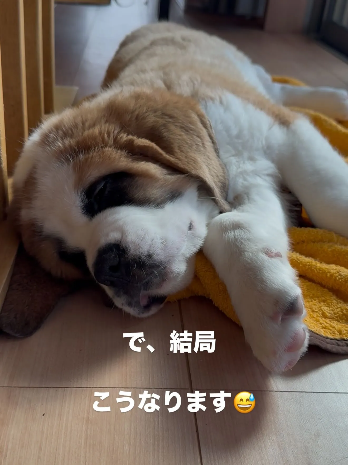 夜明け前⭐️🥲