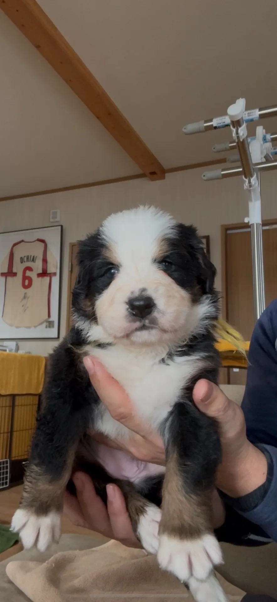 新しいご家族が決まりました。福岡県お客様ありがとうございました。