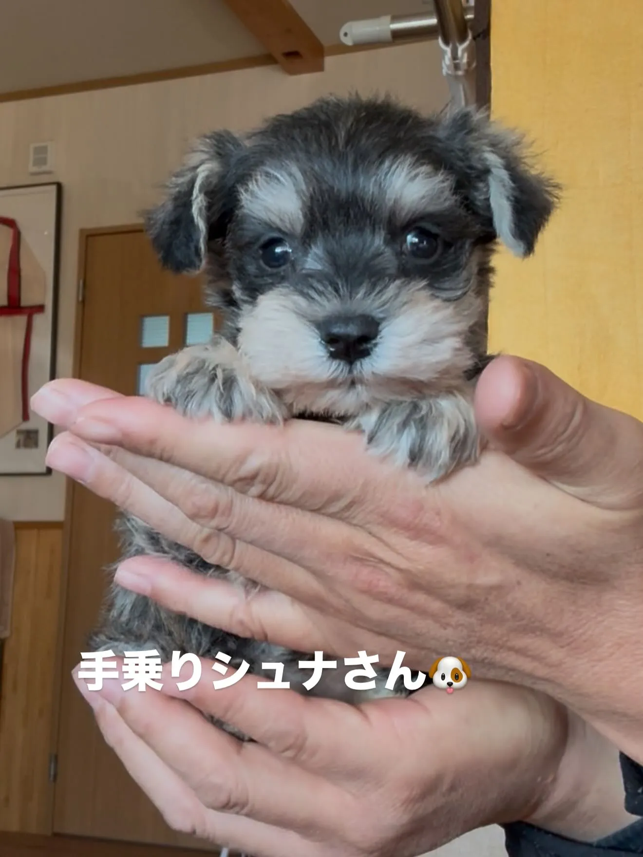 今日も一日お疲れ様でした🐶😌