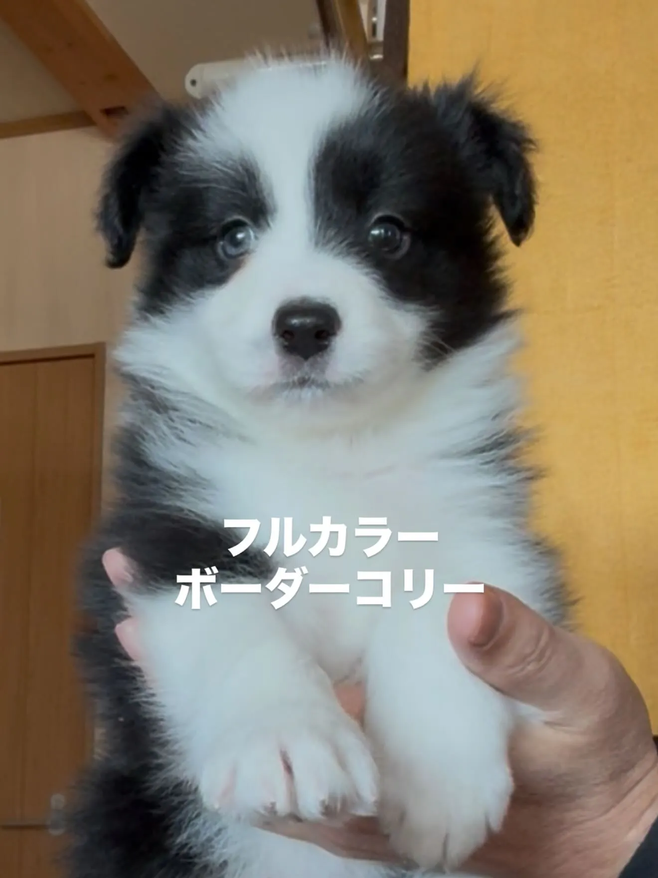 今日も一日お疲れ様でした🐶😌