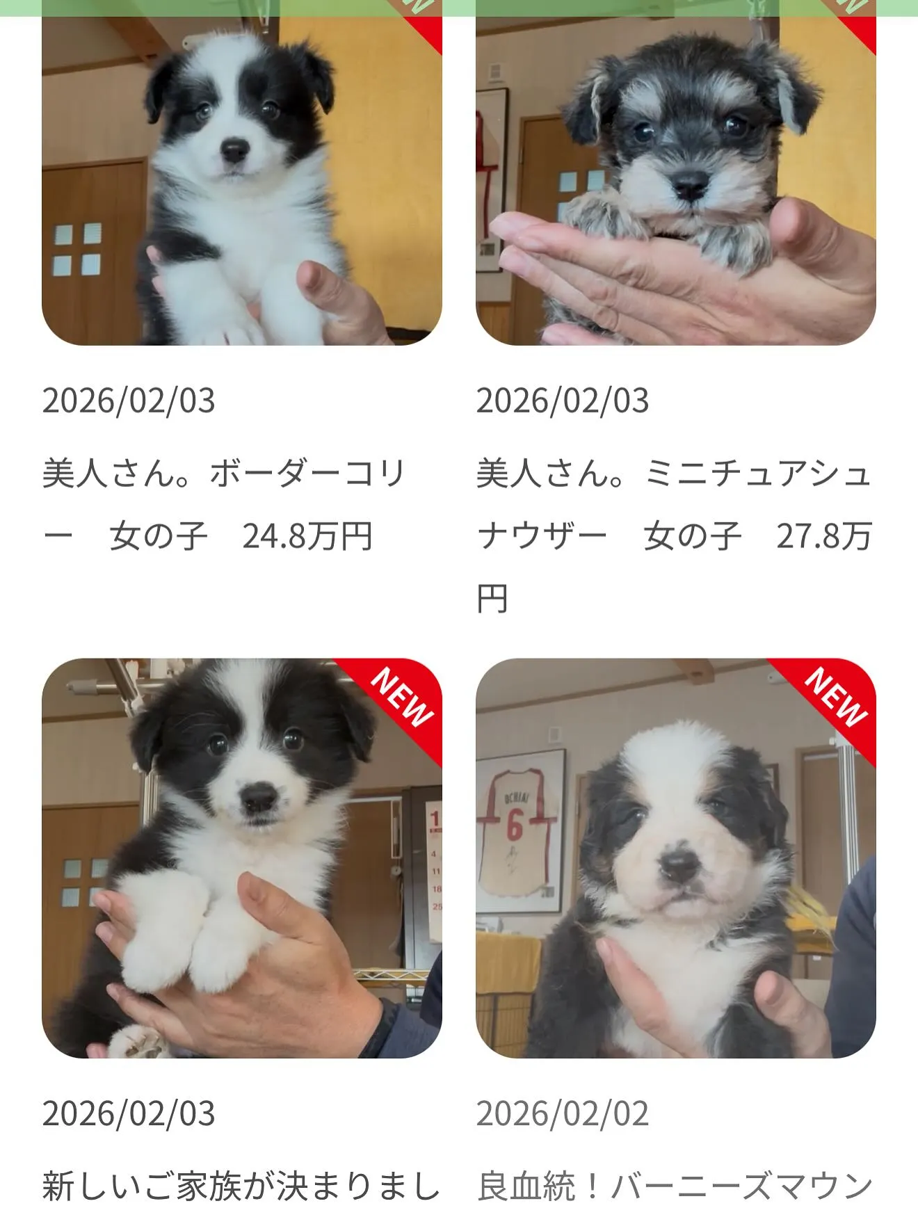 今日も一日お疲れ様でした🐶😌