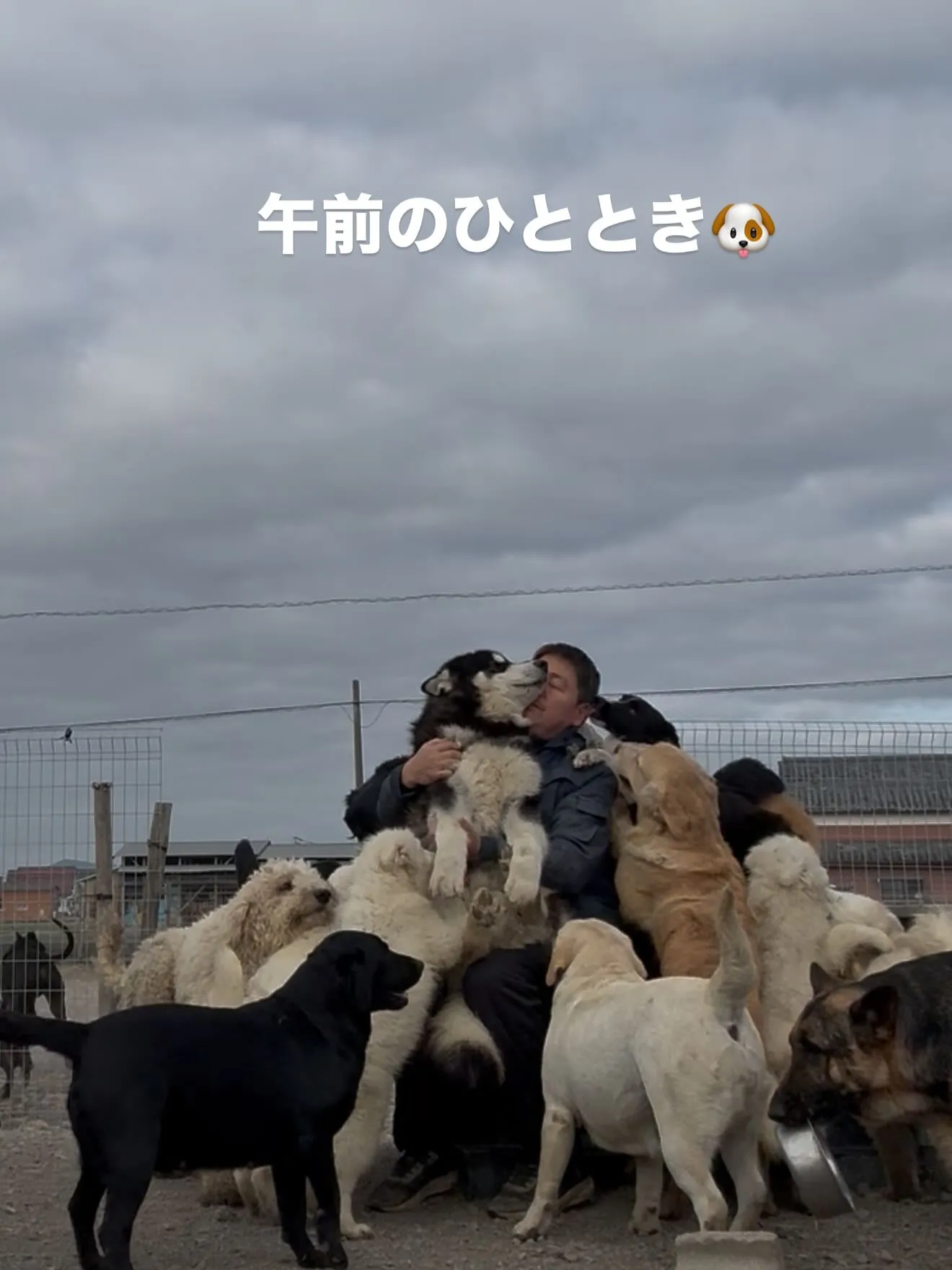 甘えん坊のキッド君（8ヶ月）