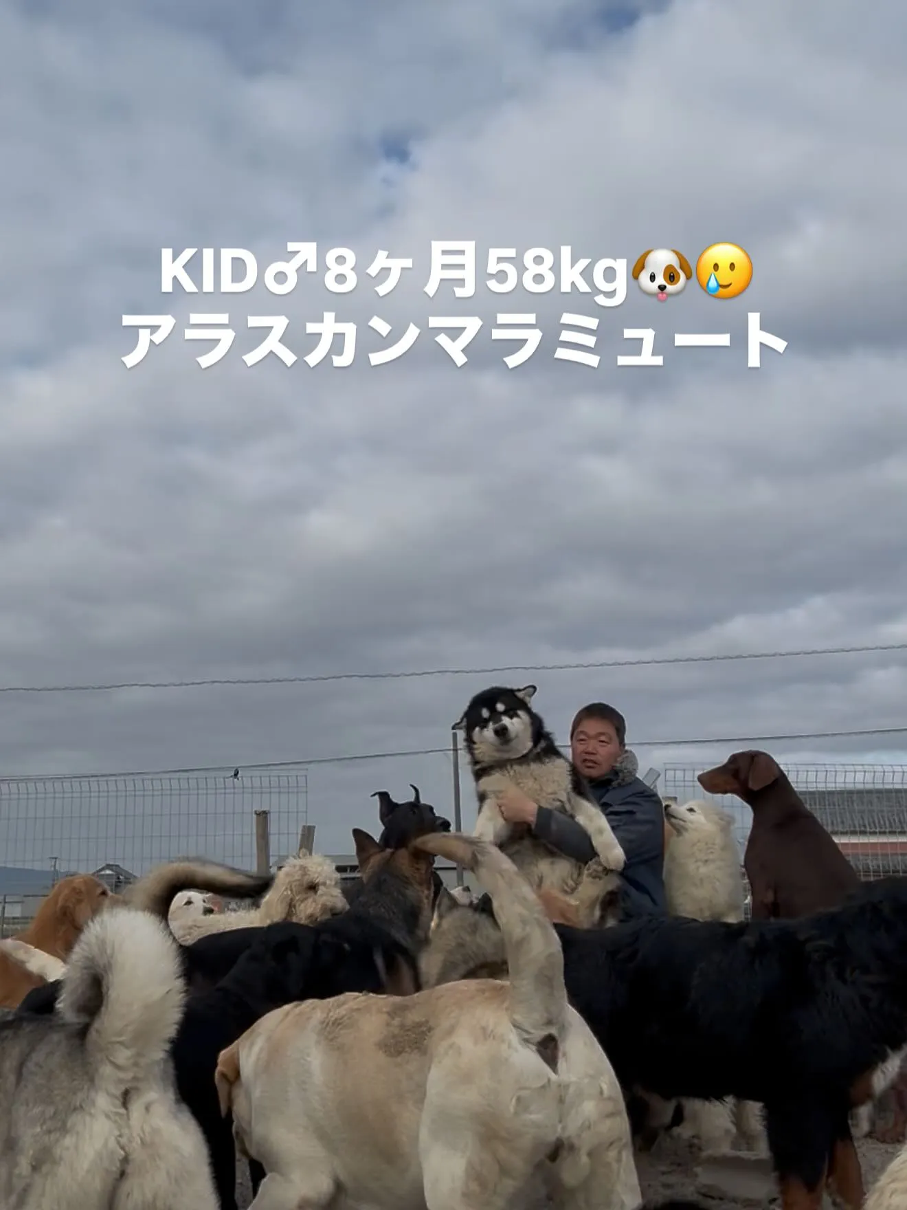 甘えん坊のキッド君（8ヶ月）