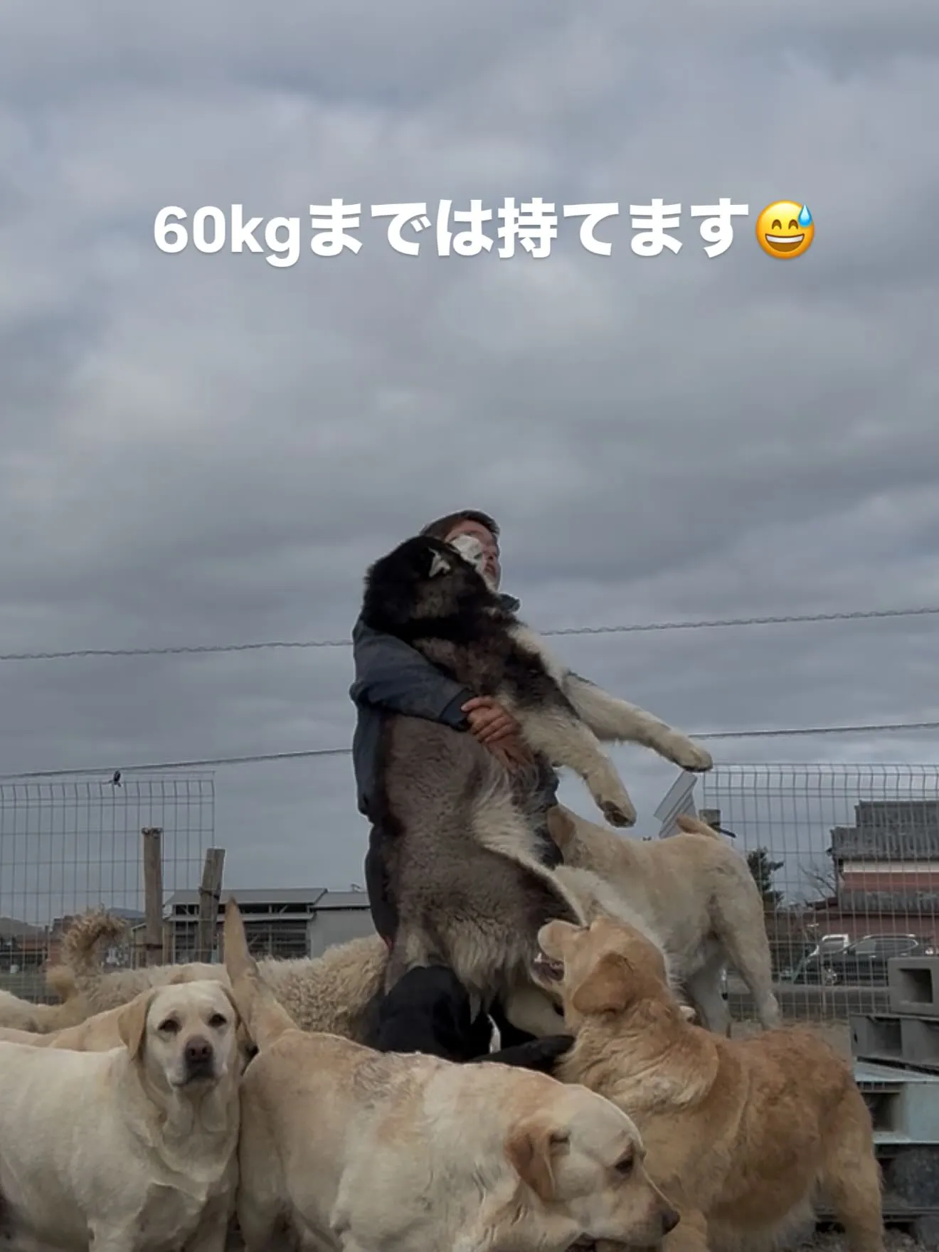 甘えん坊のキッド君（8ヶ月）