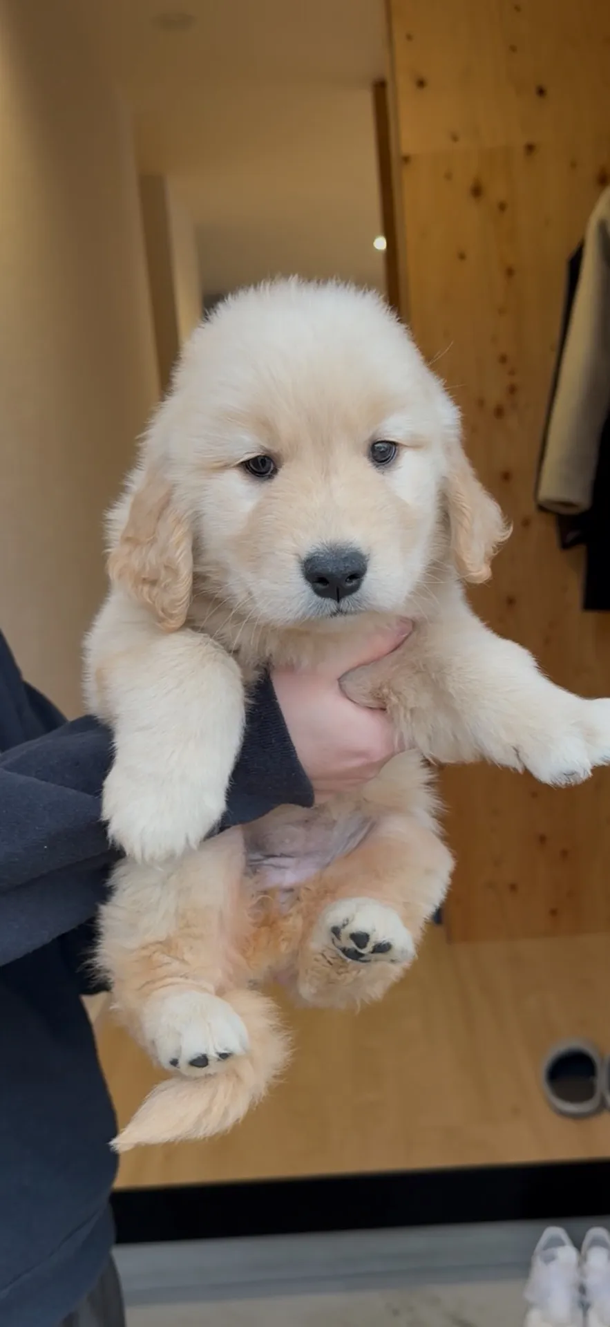 新しいご家族が決まりました。長崎県お客様ありがとうございました。