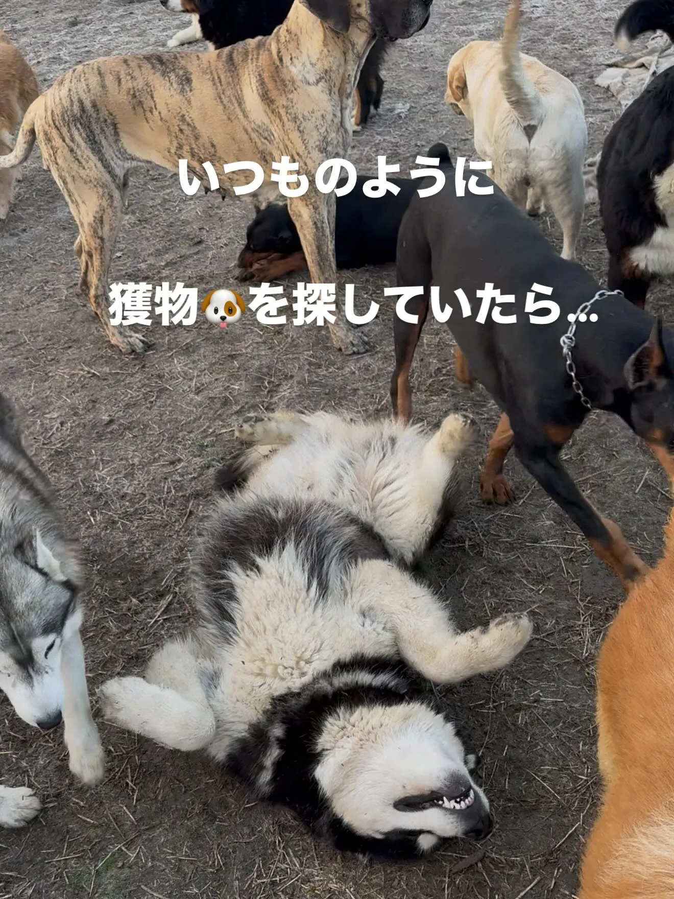 おはようございます。