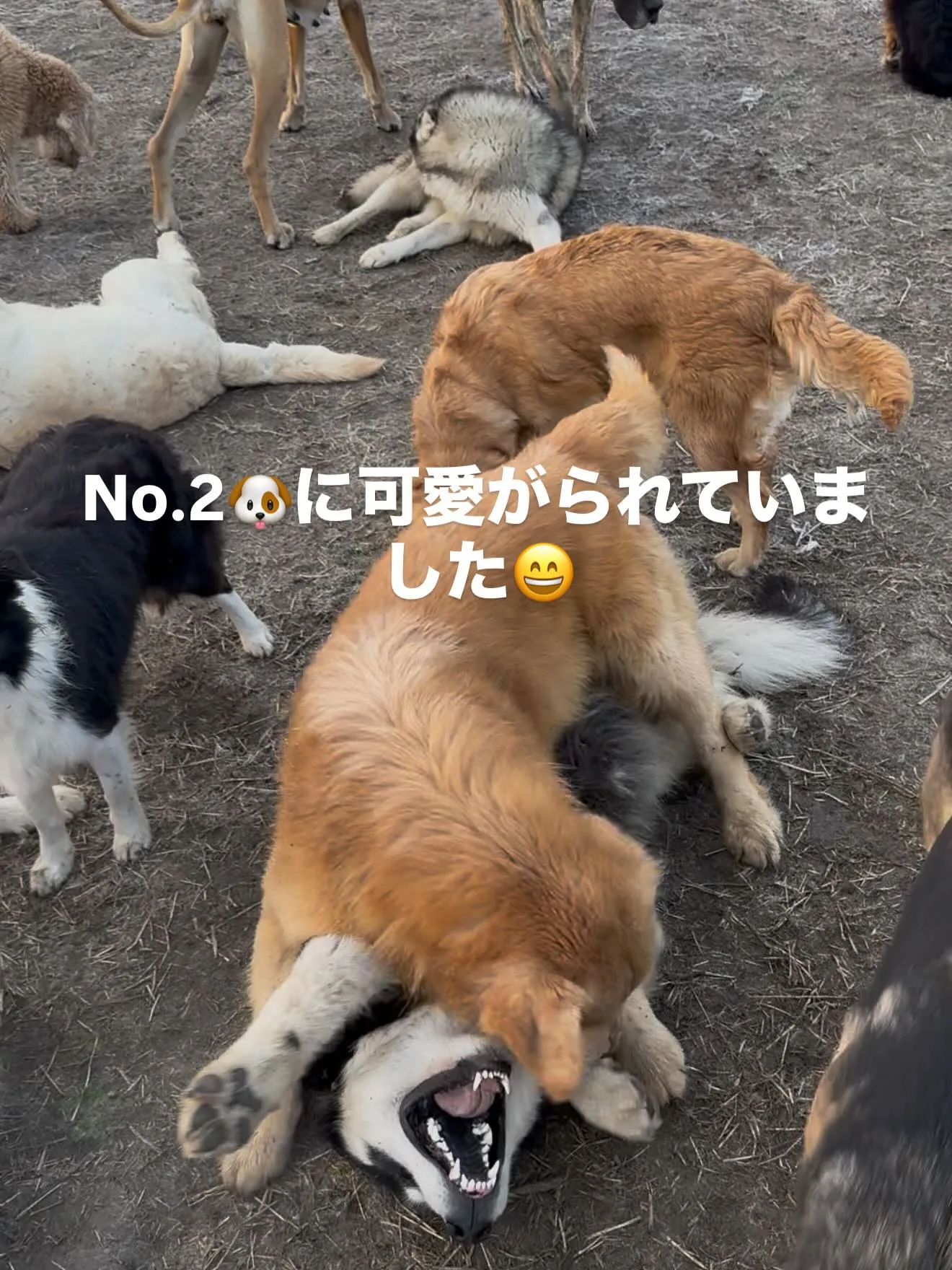 おはようございます。