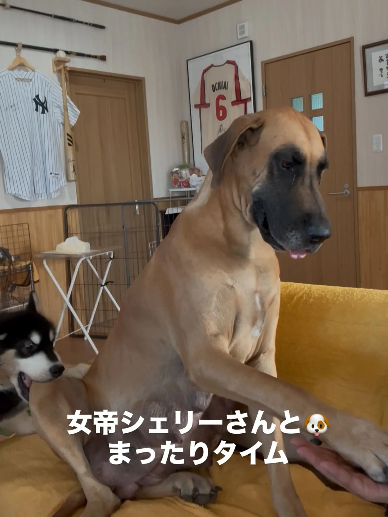 おはようございます🐶