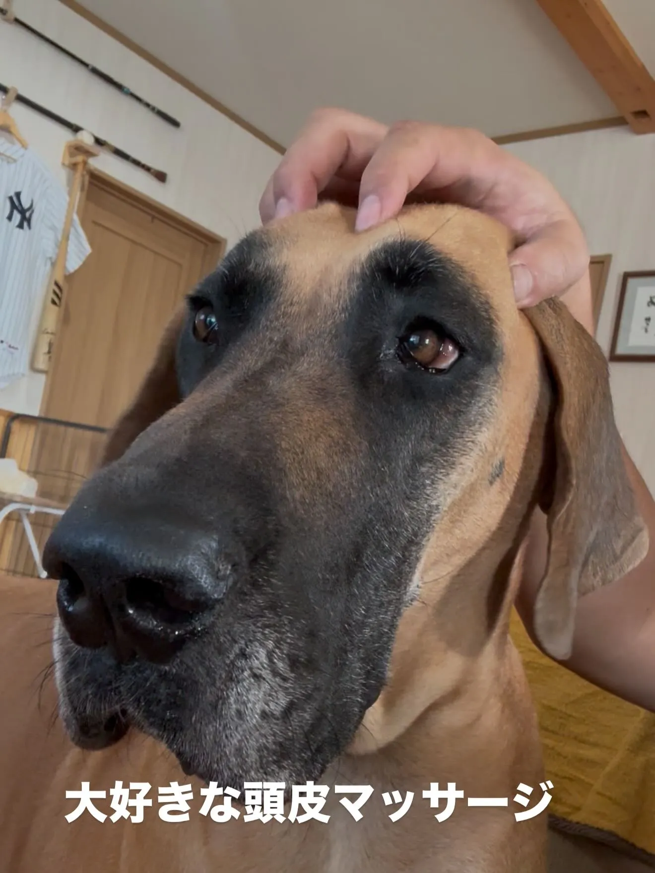 おはようございます🐶