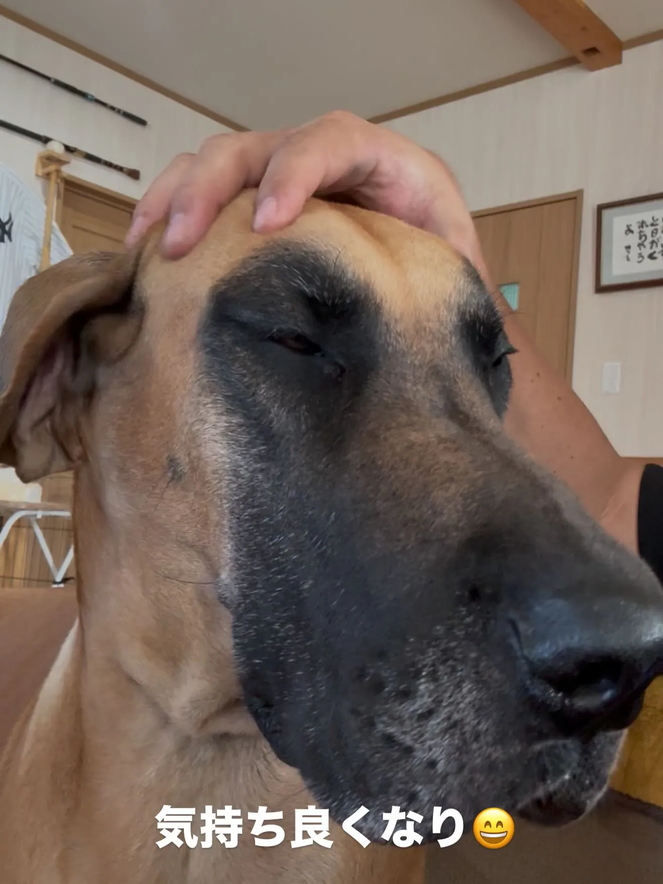 おはようございます🐶