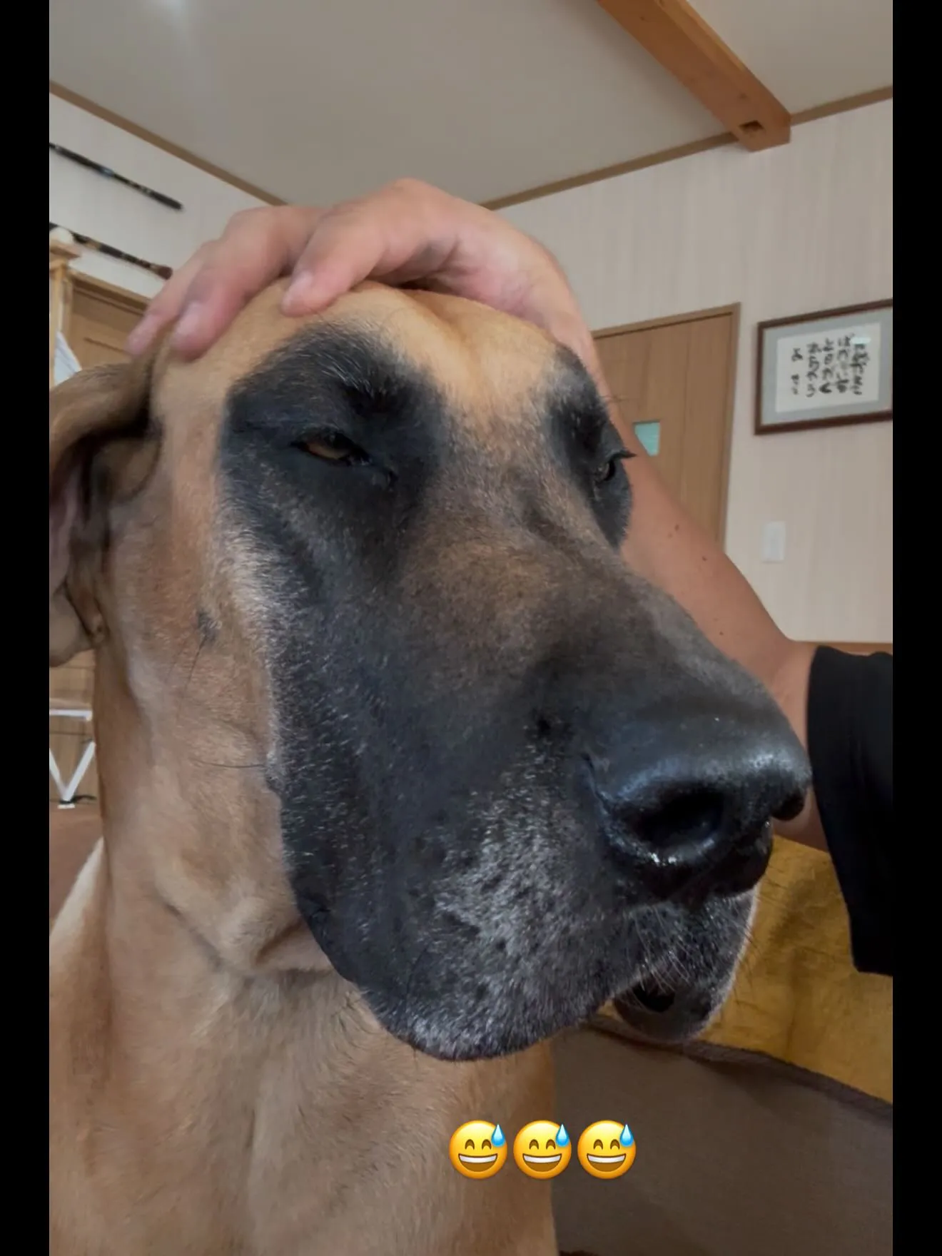 おはようございます🐶