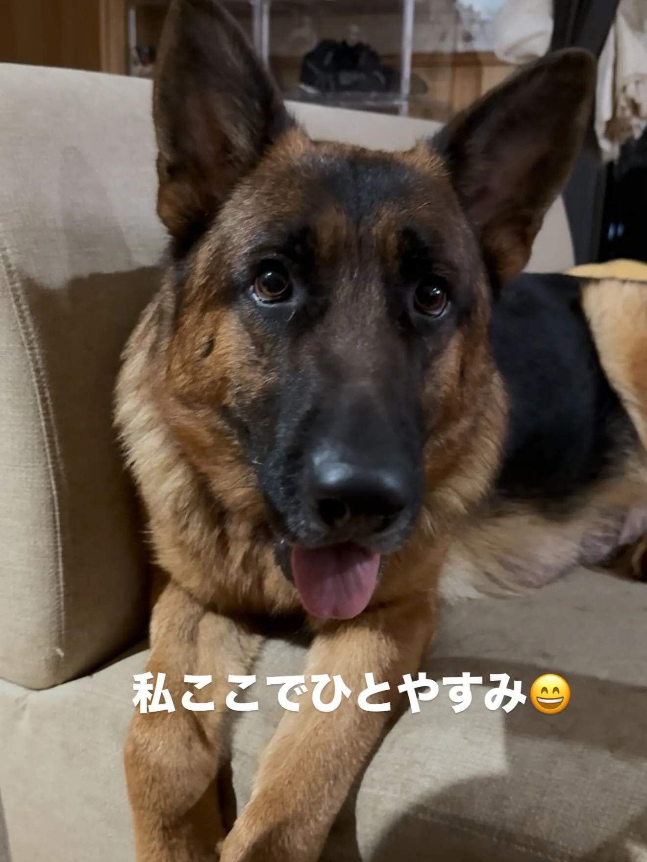 夜のひととき🌉