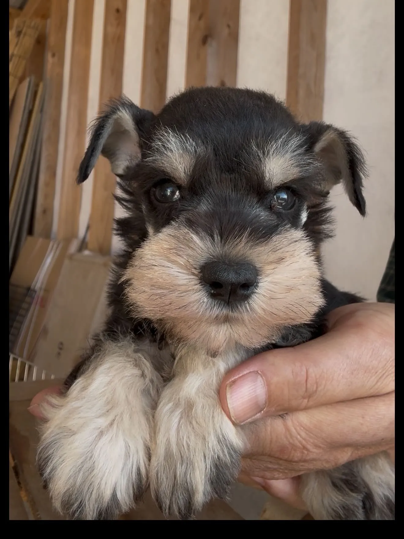 新しいご家族が決まりました。県内お客様ありがとうございました。