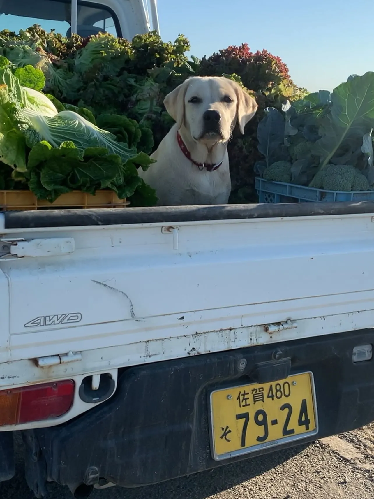 今日も一日お疲れ様です🐶😊