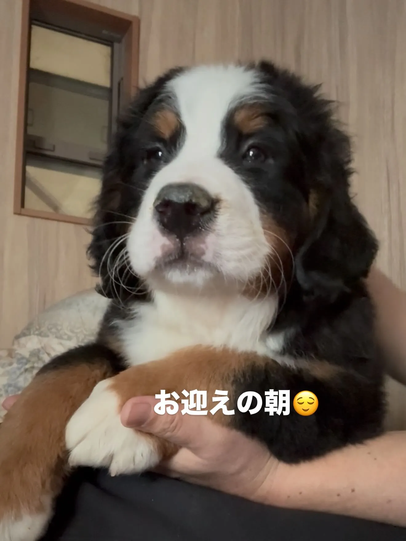 おはようございます。