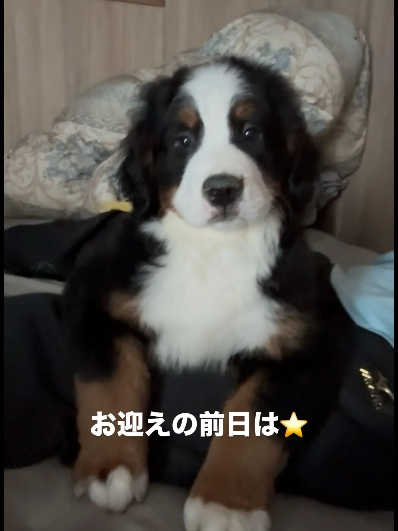 おはようございます。