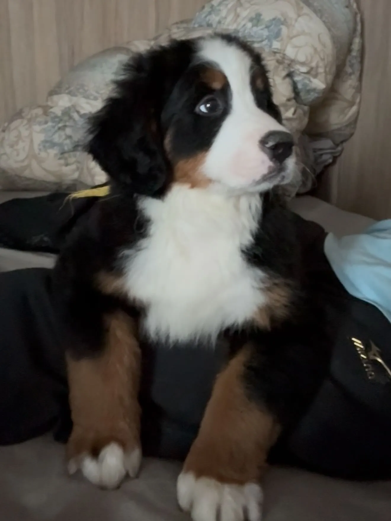 おはようございます。