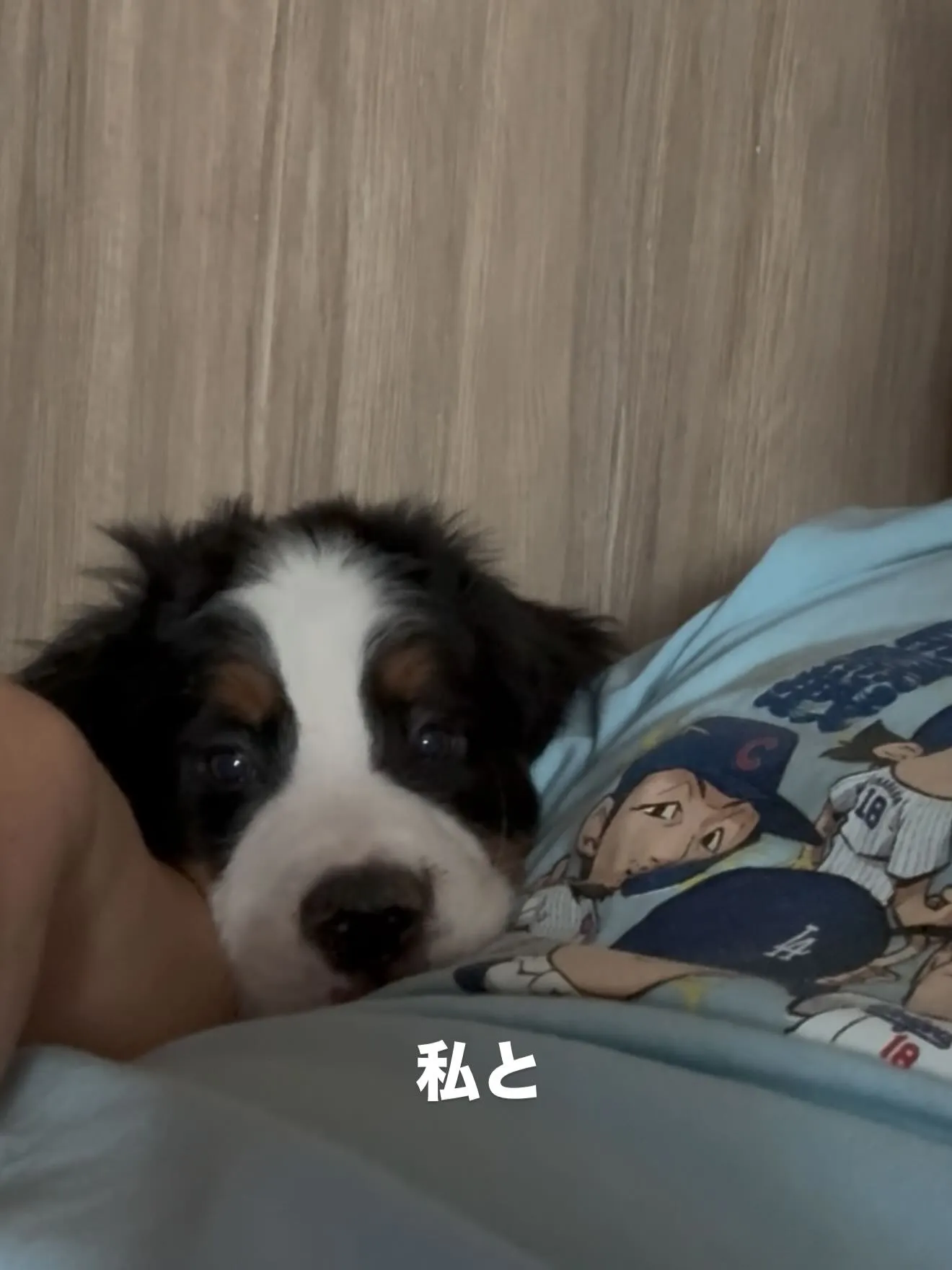 おはようございます。