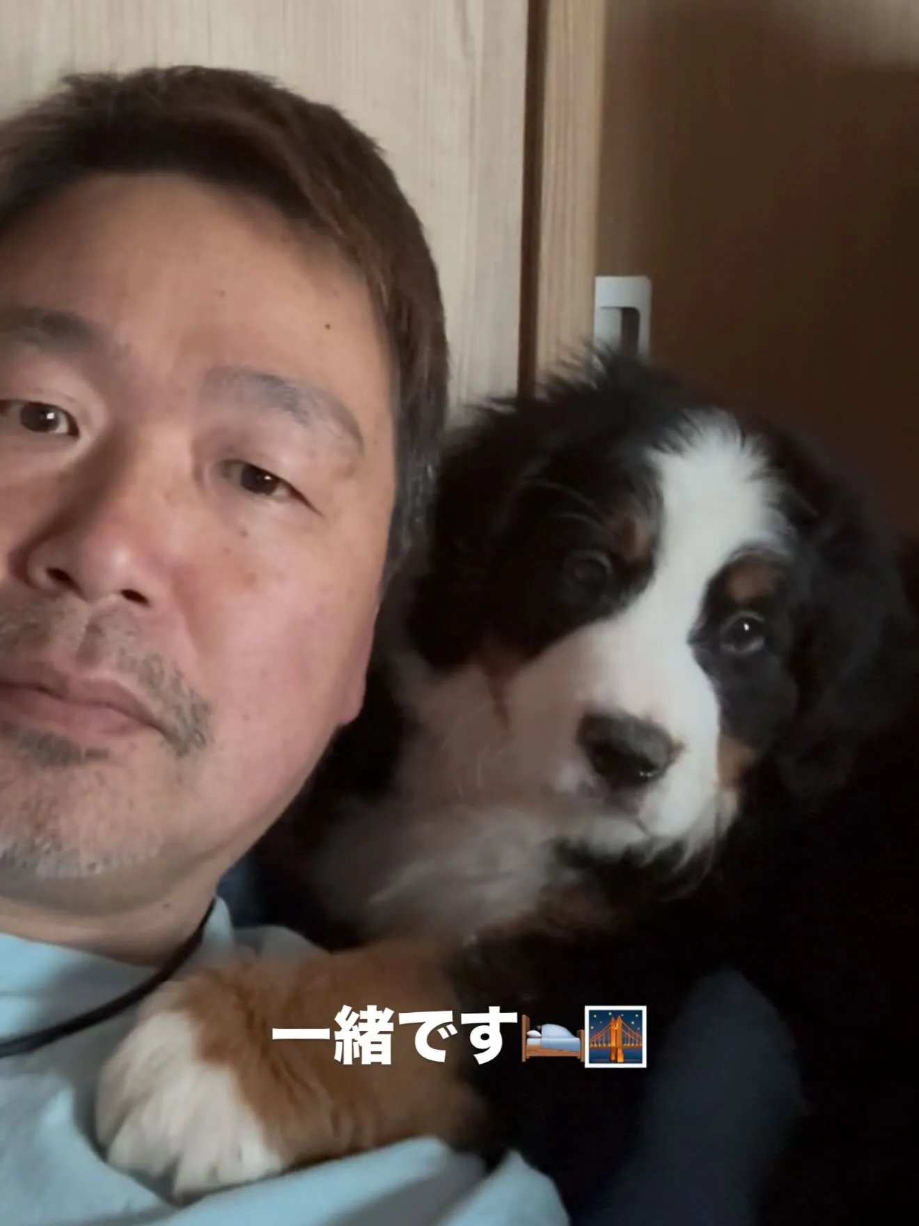 おはようございます。