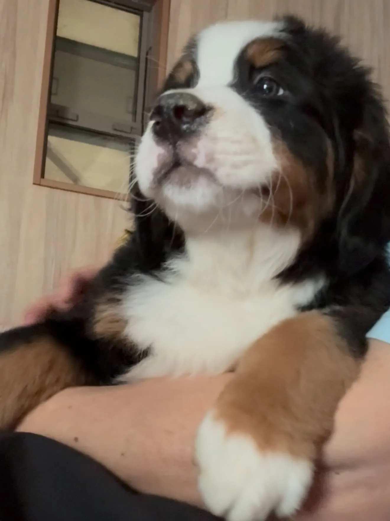 おはようございます。