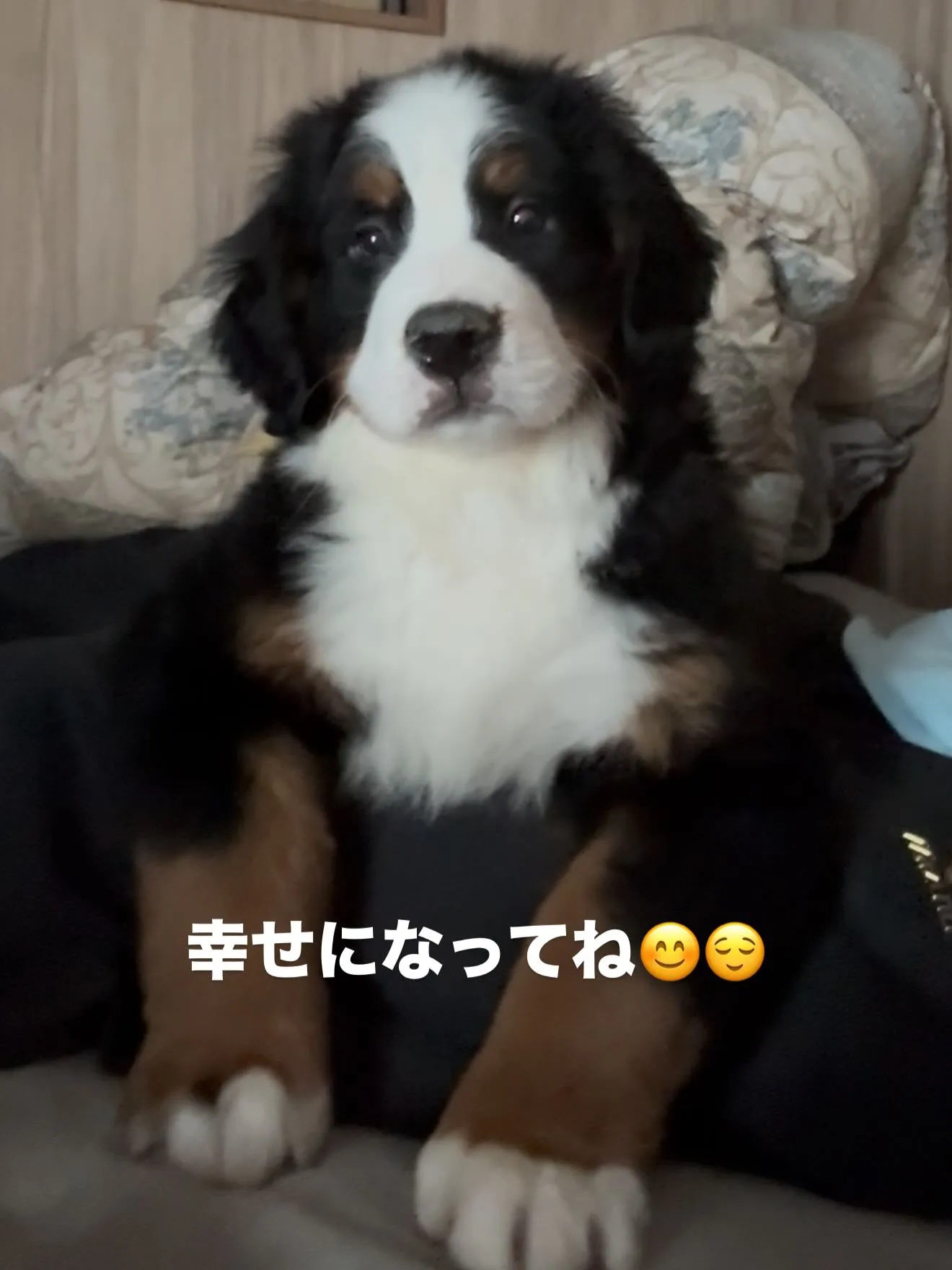 おはようございます。