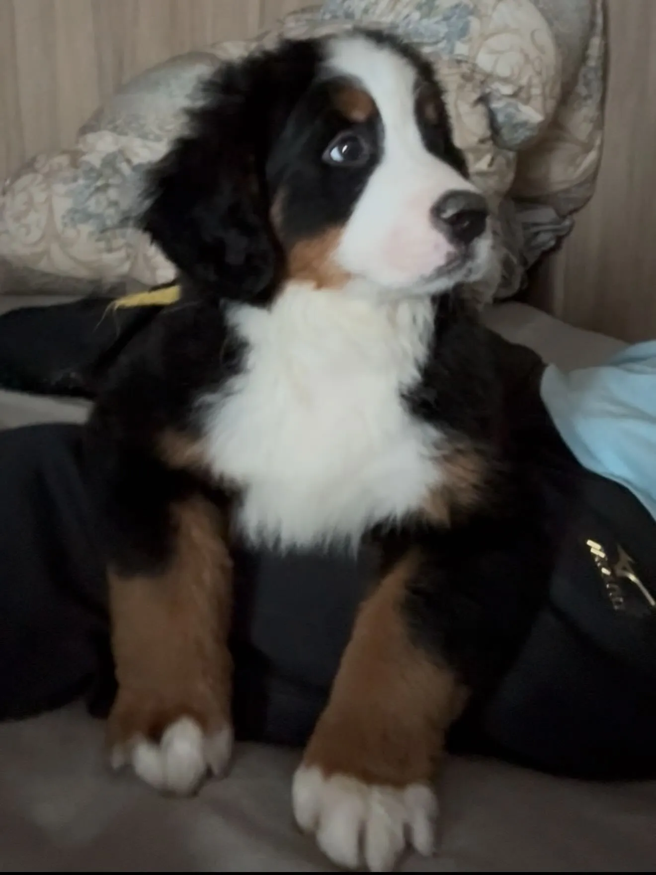 おはようございます。