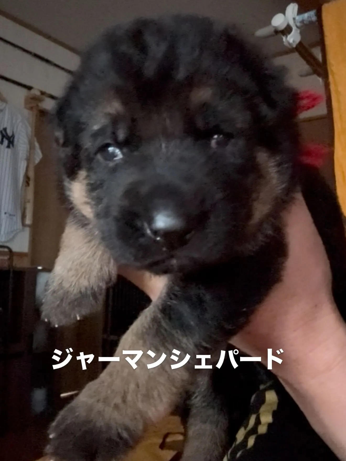 今日も一日お疲れ様でした😌🌉