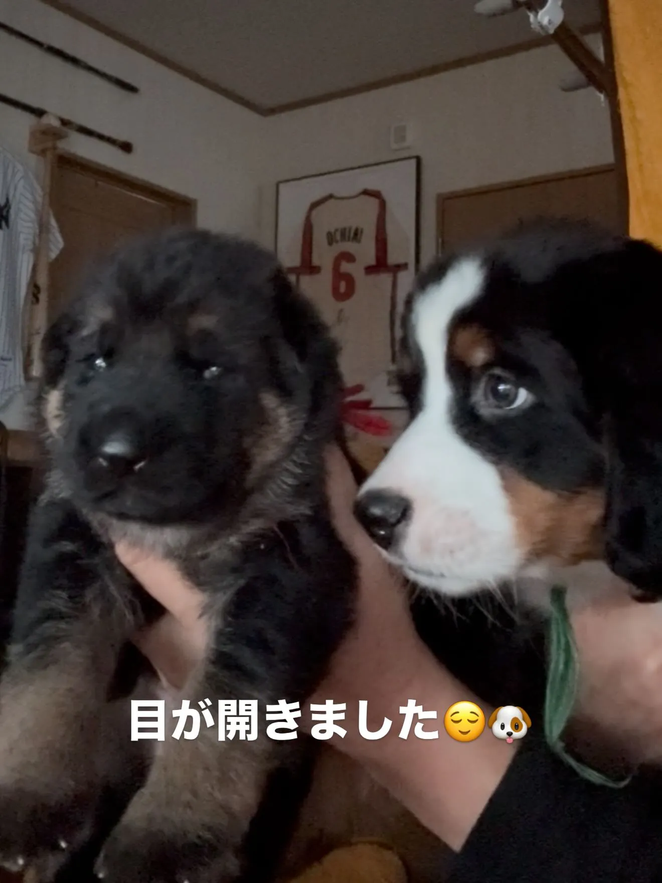 今日も一日お疲れ様でした😌🌉