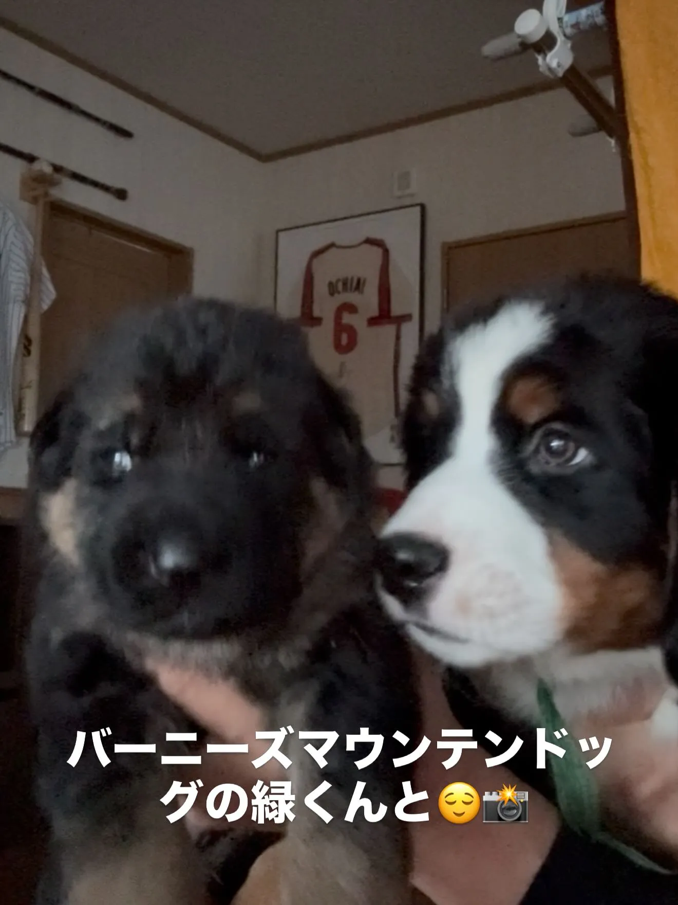 今日も一日お疲れ様でした😌🌉