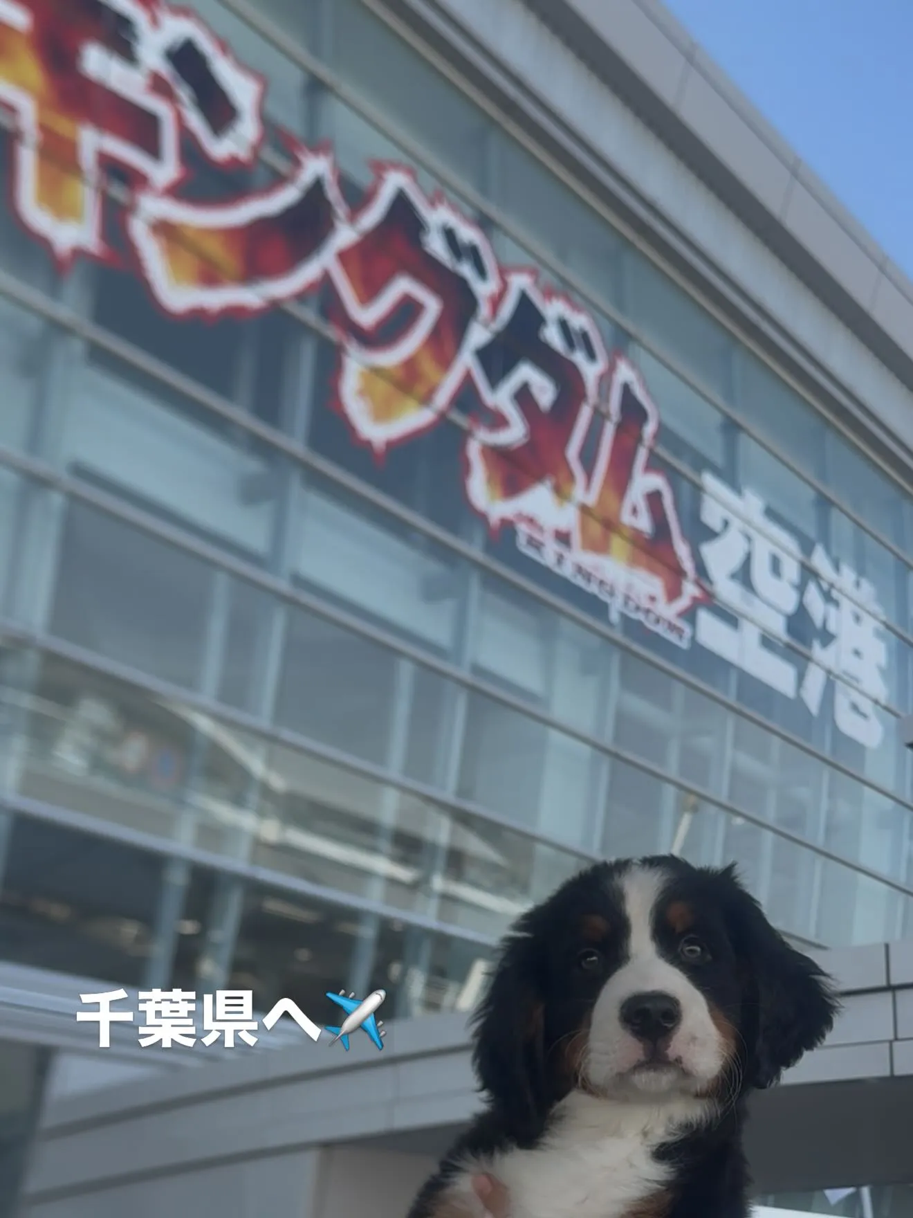 今日も、出会いと別れで胸がいっぱいです😌