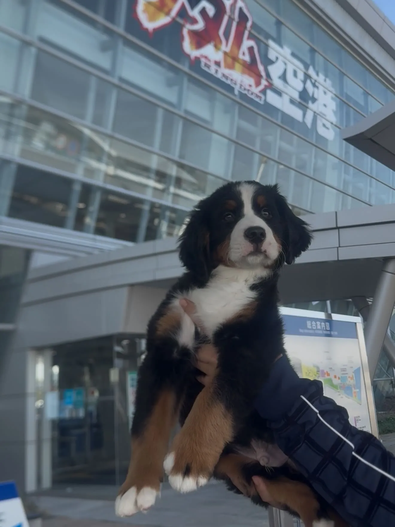 今日も、出会いと別れで胸がいっぱいです😌