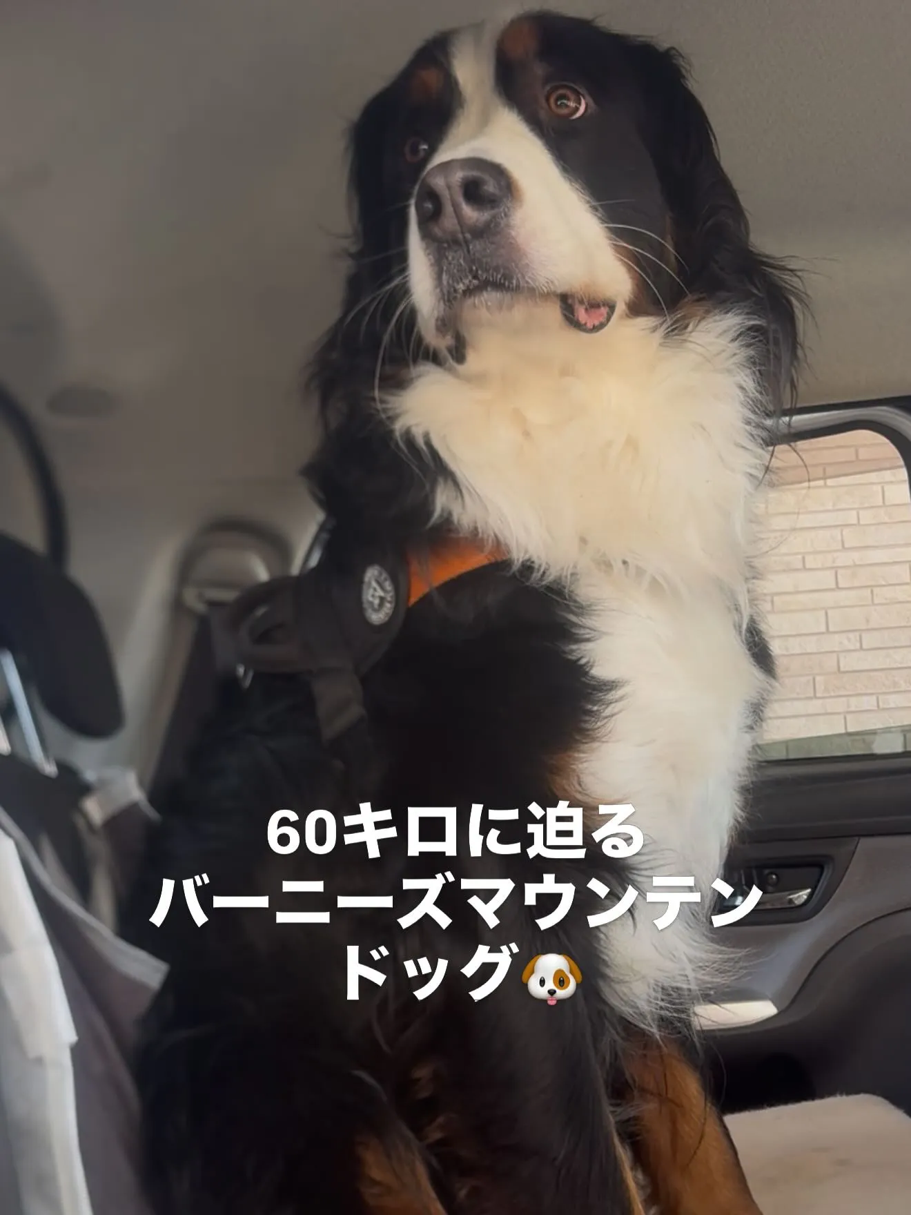 今日も、出会いと別れで胸がいっぱいです😌