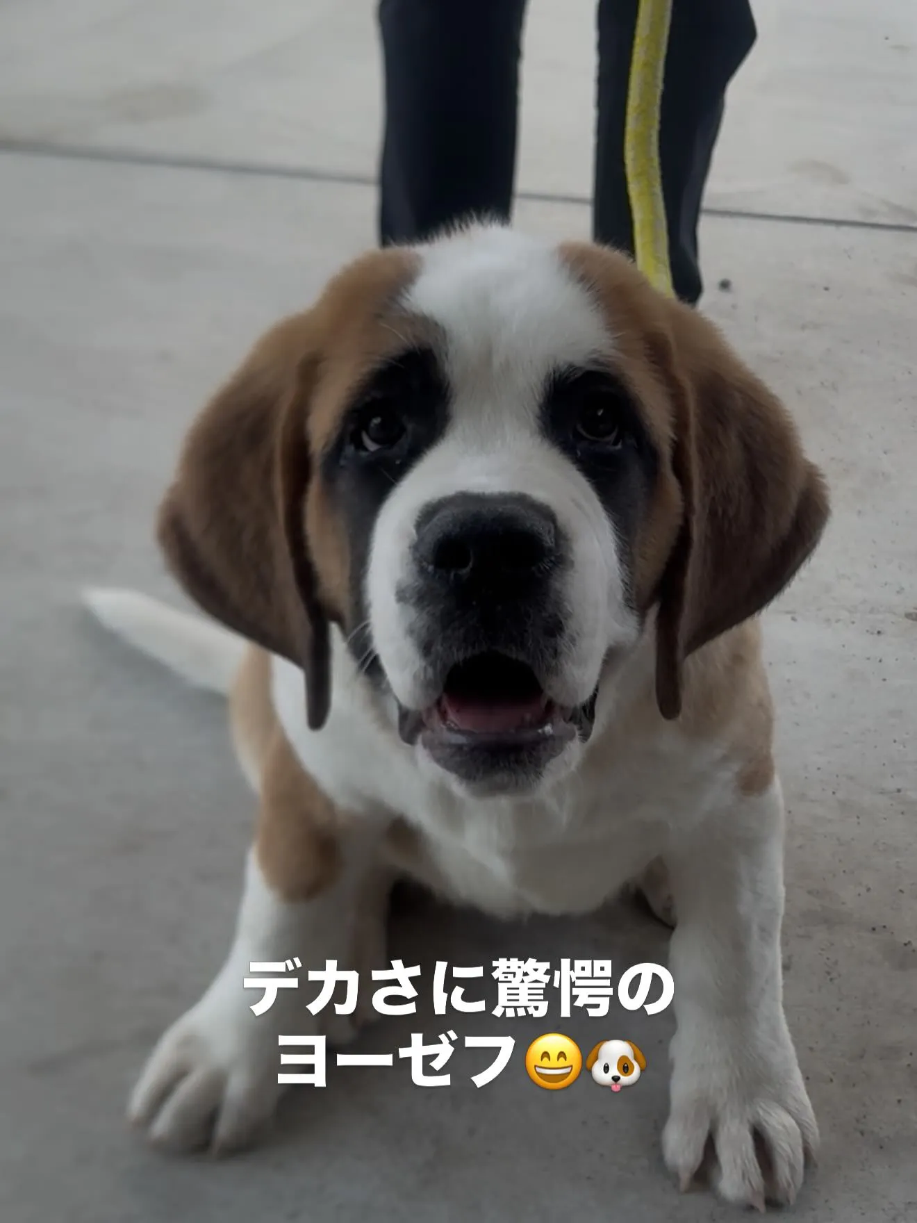 今日も、出会いと別れで胸がいっぱいです😌