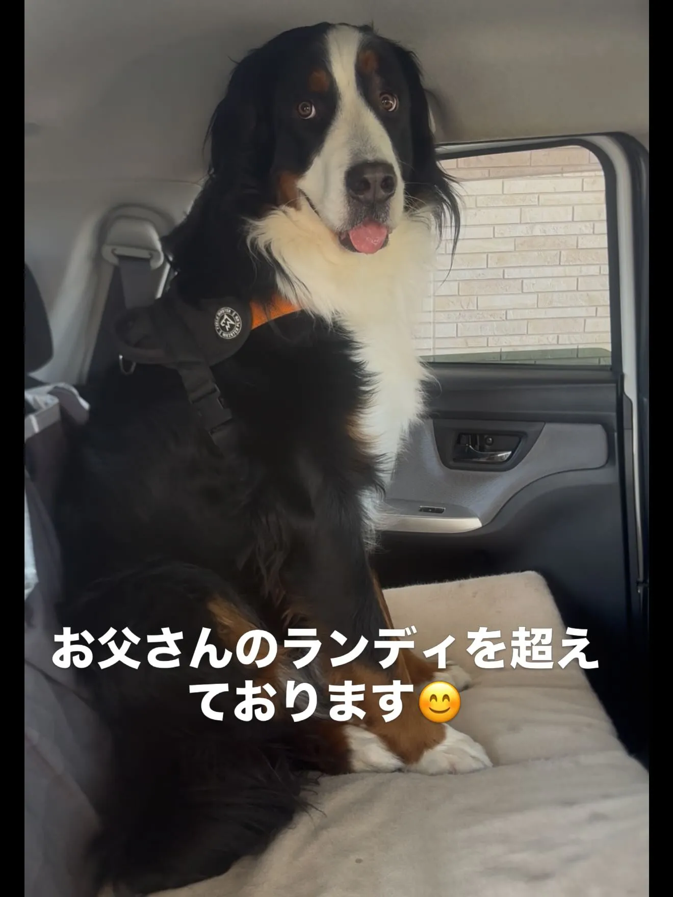 今日も、出会いと別れで胸がいっぱいです😌