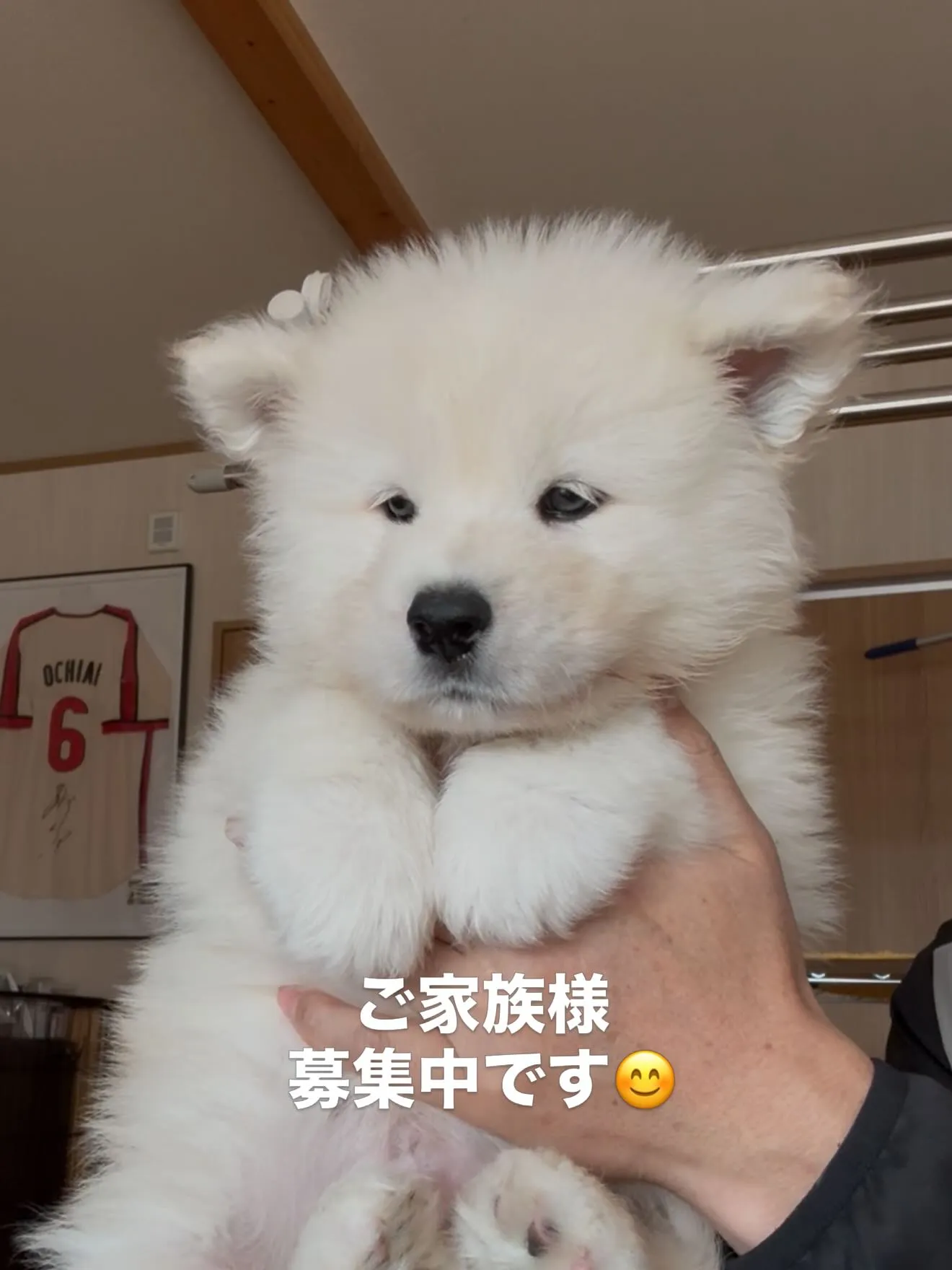 素晴らしい両親より誕生しました😌