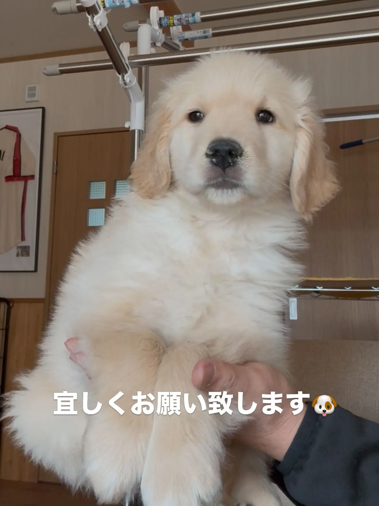 素晴らしい両親より誕生しました😌