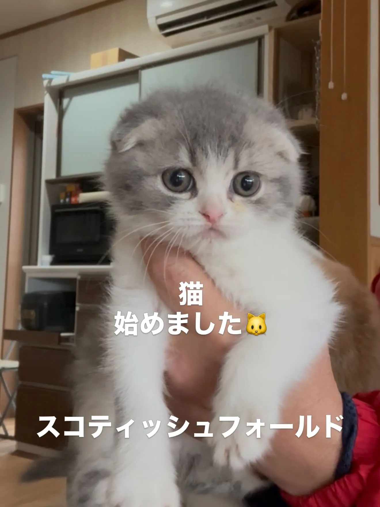 ペットショップをオープン致します🏠