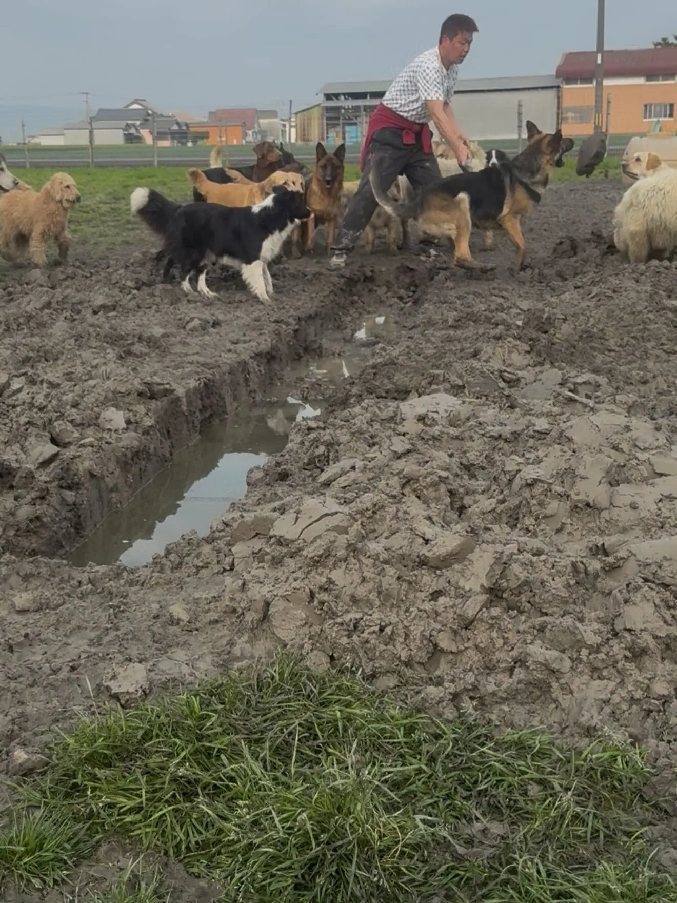 おはようございます🐶