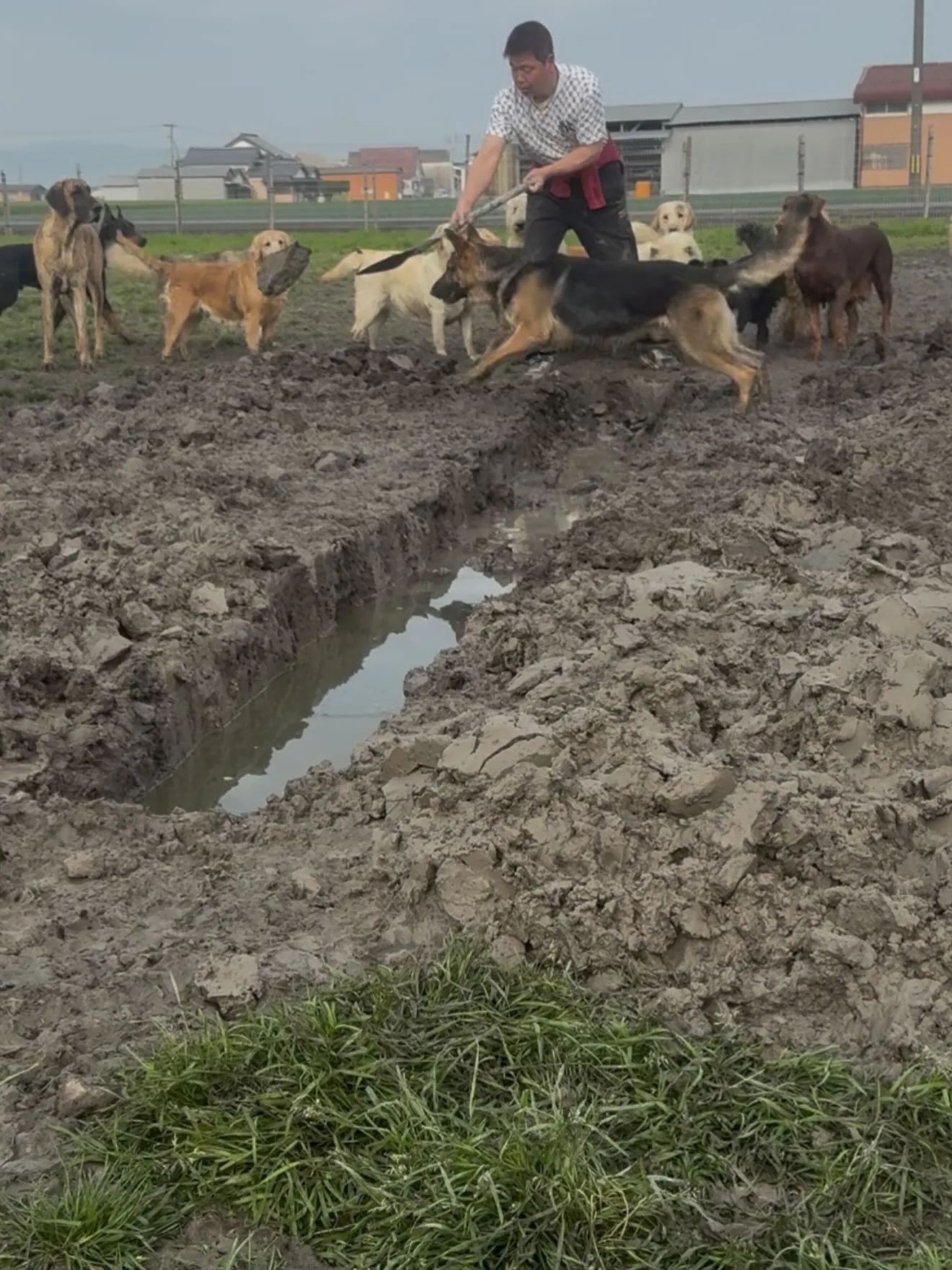 おはようございます🐶