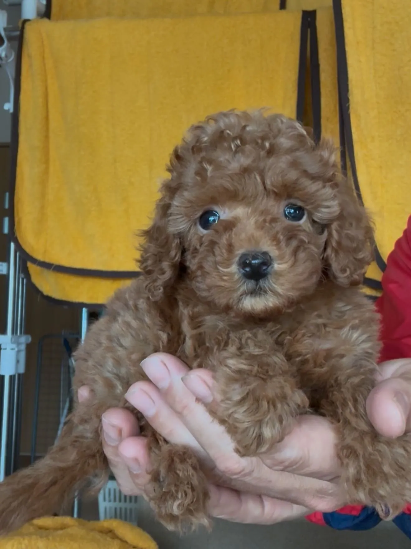 🏠ご家族様を募集致します。