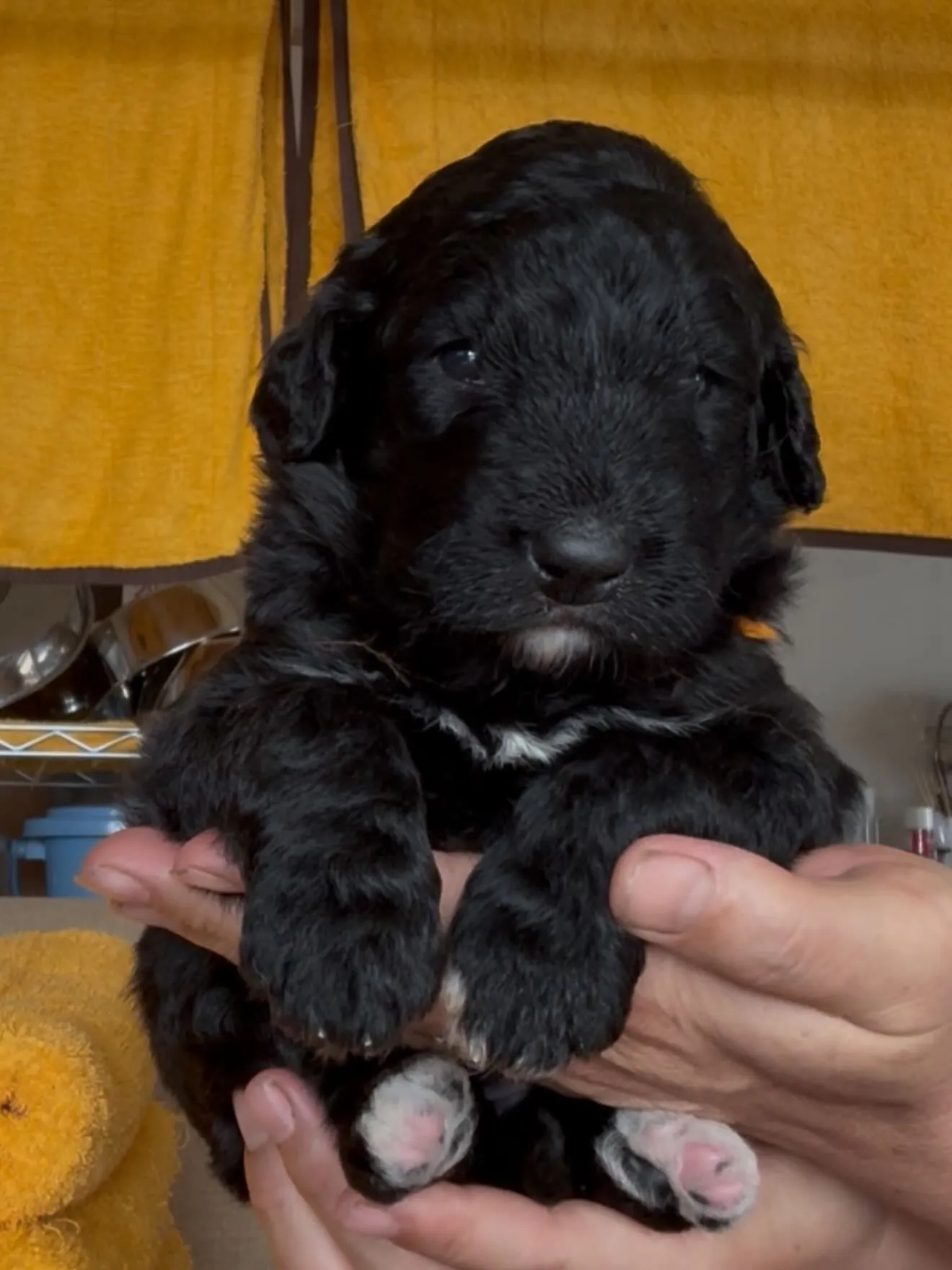 🏠ご家族様を募集致します。