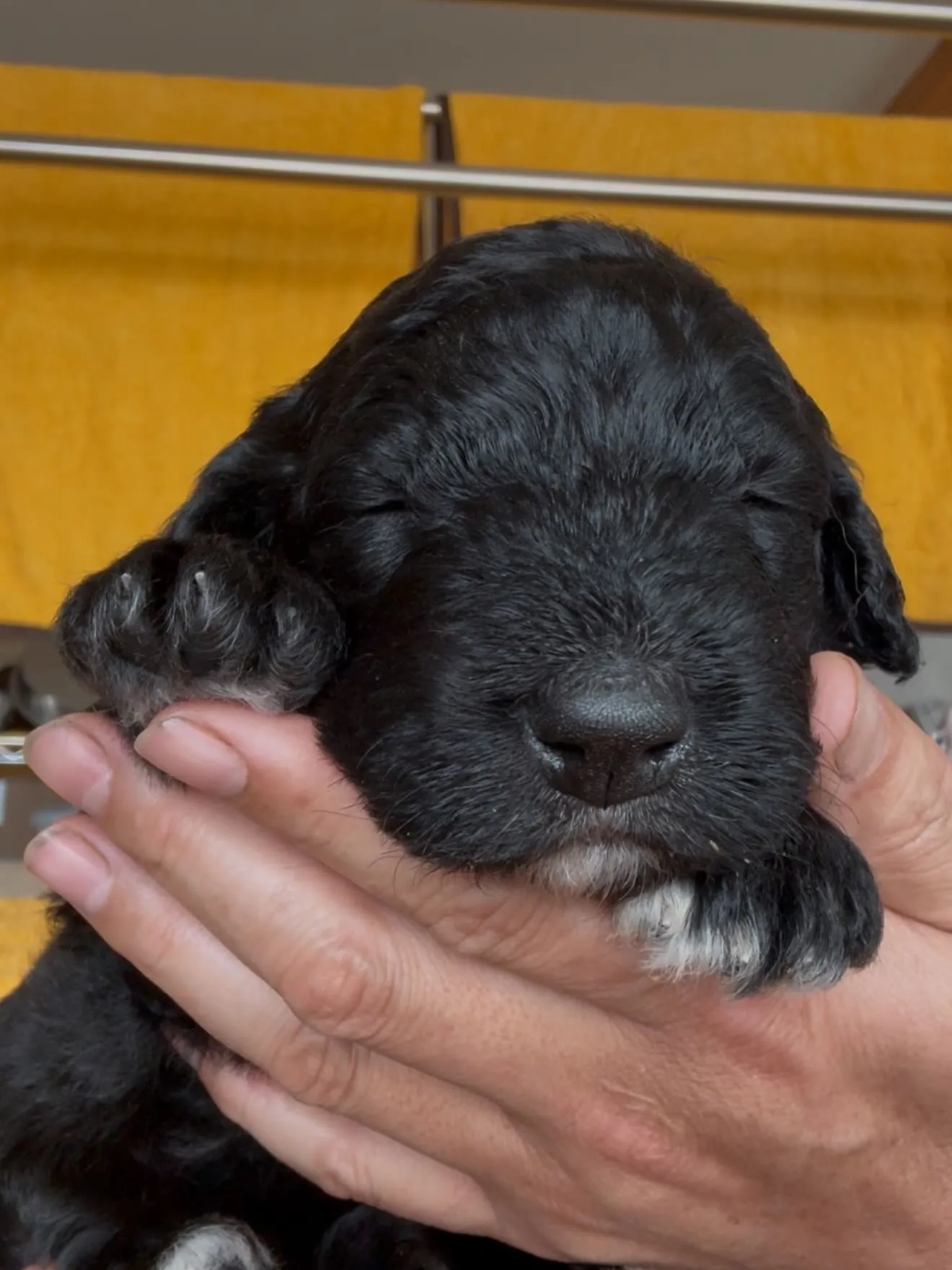 🏠ご家族様を募集致します。