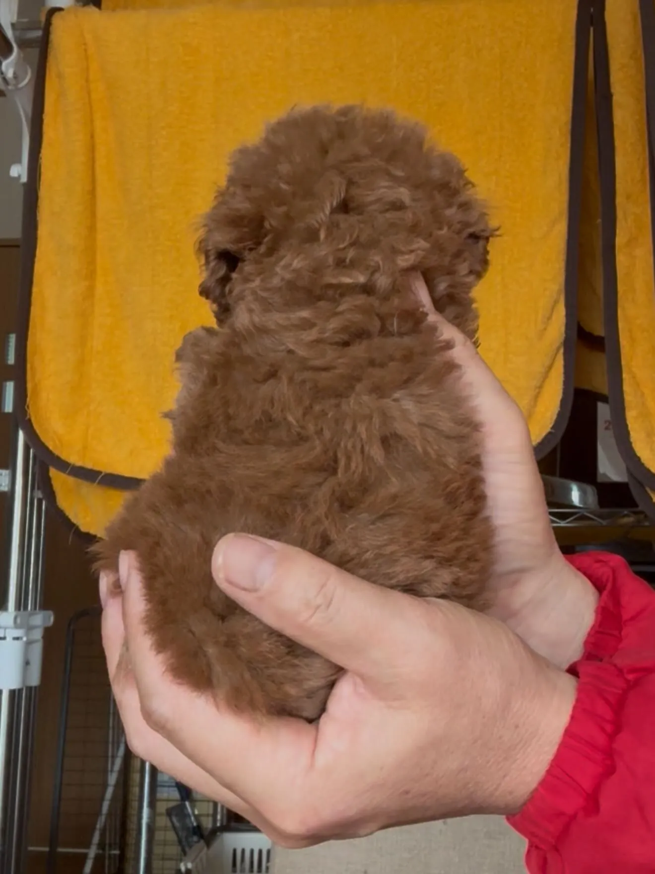 🏠ご家族様を募集致します。